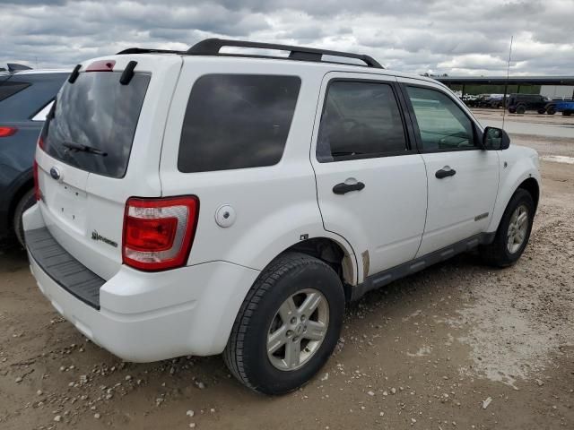 2008 Ford Escape HEV