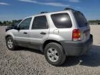 2005 Ford Escape XLT