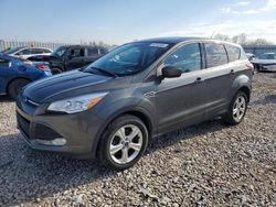 Salvage cars for sale at Columbus, OH auction: 2016 Ford Escape SE
