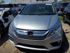 2019 Honda Odyssey EXL