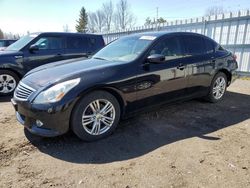 Salvage cars for sale from Copart Bowmanville, ON: 2011 Infiniti G37