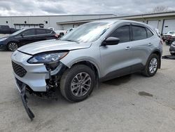 Salvage cars for sale at Louisville, KY auction: 2022 Ford Escape SE