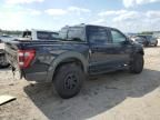 2023 Ford F150 Raptor