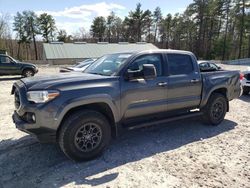 Salvage cars for sale at West Warren, MA auction: 2017 Toyota Tacoma Double Cab