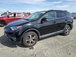 Salvage cars for sale from Copart Antelope, CA: 2016 Toyota Rav4 XLE