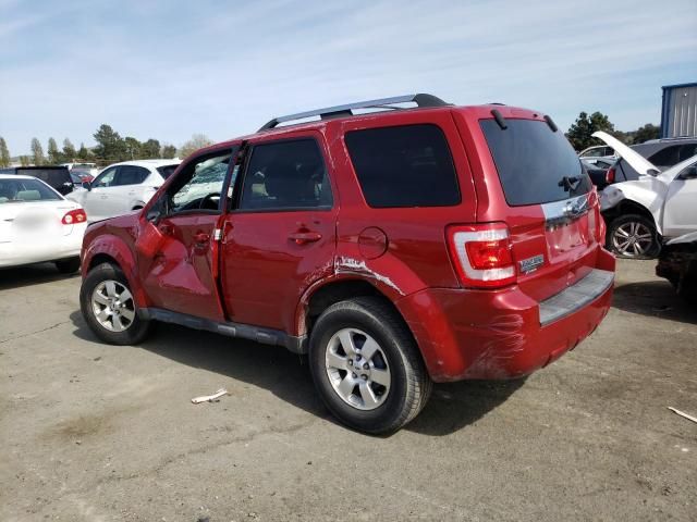 2010 Ford Escape Limited