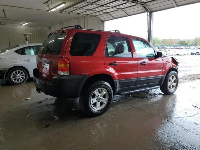 2005 Ford Escape XLT