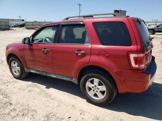 2010 Ford Escape XLT