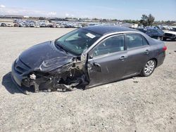 Salvage cars for sale from Copart Antelope, CA: 2012 Toyota Corolla Base