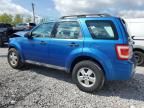 2011 Ford Escape XLS