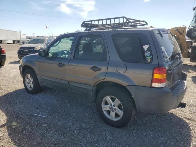 2006 Ford Escape HEV