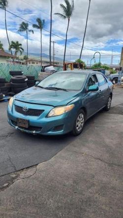 Toyota Vehiculos salvage en venta: 2010 Toyota Corolla Base