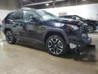 2021 Toyota Rav4 Adventure