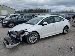 Salvage cars for sale from Copart Lawrenceburg, KY: 2021 Toyota Corolla LE
