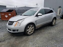Salvage cars for sale at Elmsdale, NS auction: 2010 Cadillac SRX Performance Collection