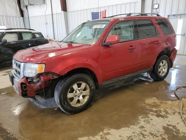 2010 Ford Escape Limited