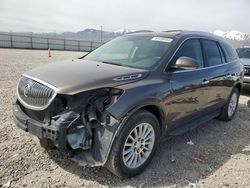 Salvage cars for sale at Magna, UT auction: 2009 Buick Enclave CXL