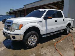 Salvage cars for sale from Copart Riverview, FL: 2014 Ford F150 Supercrew