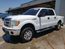 2014 Ford F150 Supercrew for sale in Riverview, FL