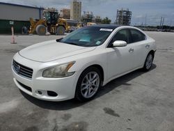 Salvage cars for sale at New Orleans, LA auction: 2011 Nissan Maxima S
