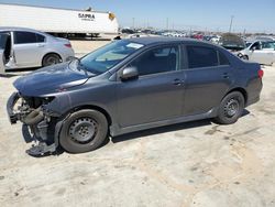 Toyota salvage cars for sale: 2010 Toyota Corolla Base