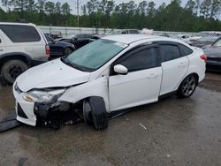 Salvage cars for sale at Harleyville, SC auction: 2014 Ford Focus SE