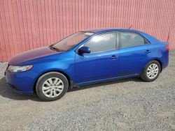 KIA Forte LX Vehiculos salvage en venta: 2010 KIA Forte LX