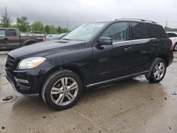 Salvage cars for sale at Lawrenceburg, KY auction: 2013 Mercedes-Benz ML 350 4matic