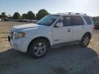 2008 Ford Escape Limited