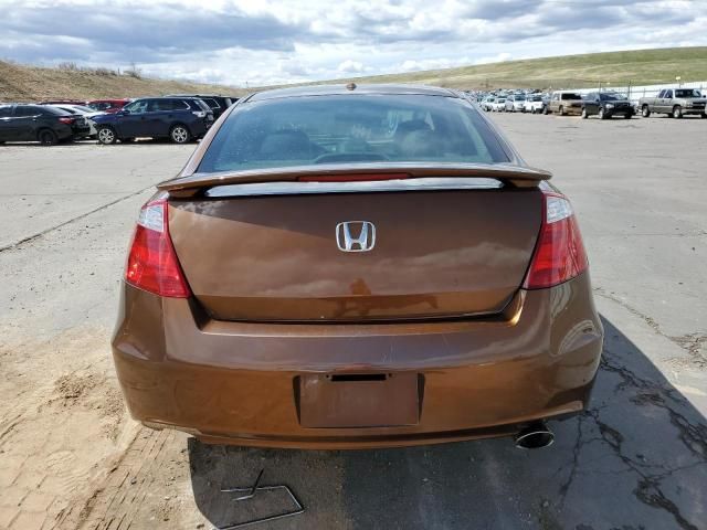 2010 Honda Accord EXL