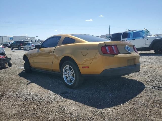 2010 Ford Mustang