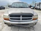 2002 Dodge Dakota SLT