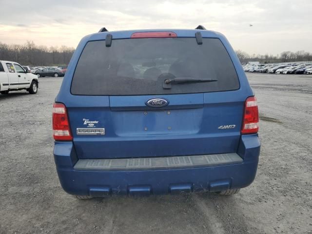 2008 Ford Escape XLT