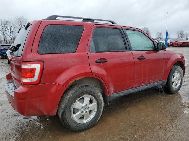 2011 Ford Escape XLT