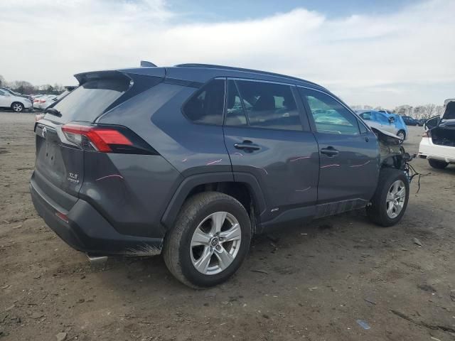 2019 Toyota Rav4 XLE