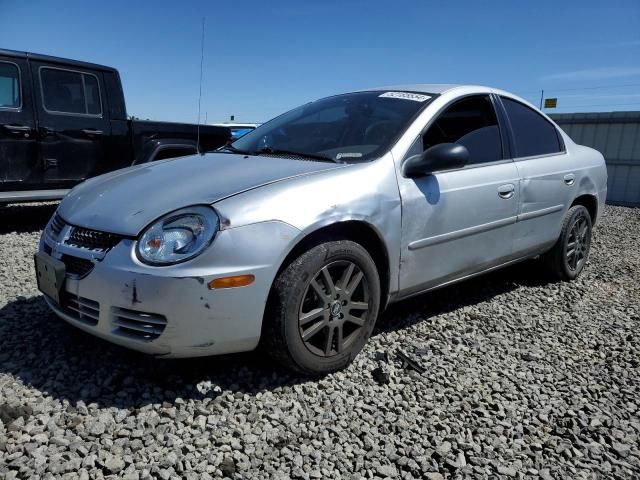 2005 Dodge Neon SXT