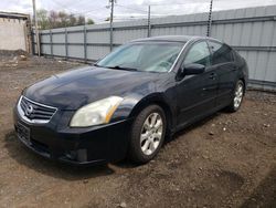 Nissan Maxima se Vehiculos salvage en venta: 2007 Nissan Maxima SE