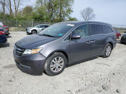 Salvage cars for sale at Cicero, IN auction: 2014 Honda Odyssey EXL