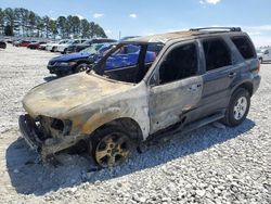 Salvage cars for sale from Copart Loganville, GA: 2006 Ford Escape XLT