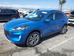 Salvage cars for sale at Van Nuys, CA auction: 2021 Ford Escape SEL