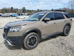 Salvage cars for sale at Candia, NH auction: 2023 Nissan Pathfinder SV