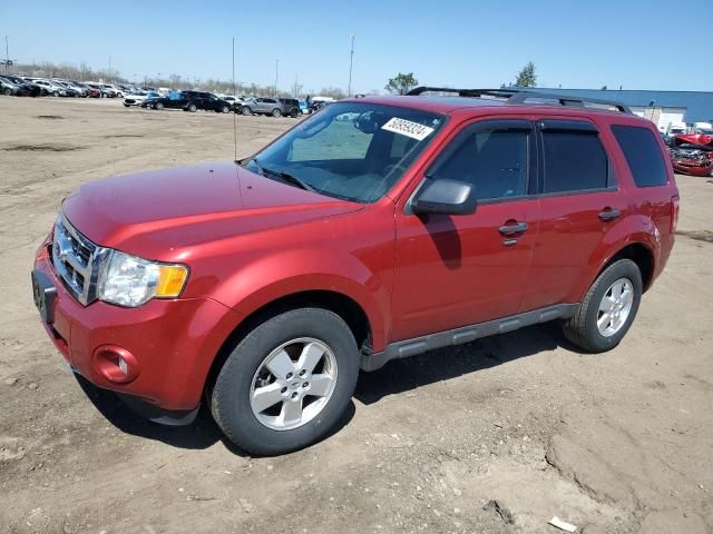 2012 Ford Escape XLT