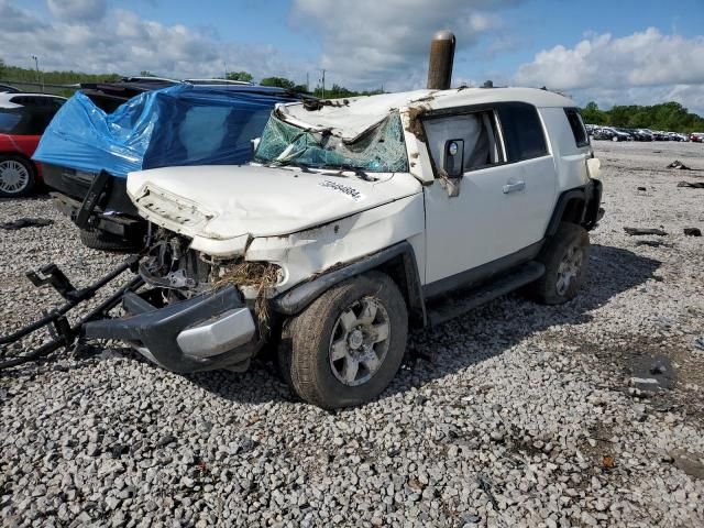 2010 Toyota FJ Cruiser