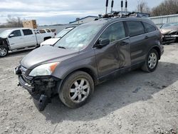 Salvage cars for sale from Copart Albany, NY: 2009 Honda CR-V EX