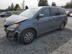 Honda salvage cars for sale: 2010 Honda Odyssey EX