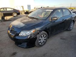 Salvage cars for sale from Copart Tucson, AZ: 2010 Toyota Corolla Base