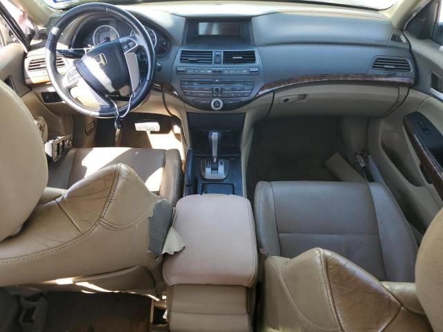 2008 Honda Accord EXL