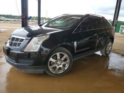 Cadillac salvage cars for sale: 2012 Cadillac SRX Luxury Collection