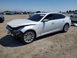 Cadillac ct5 Luxury salvage cars for sale: 2022 Cadillac CT5 Luxury