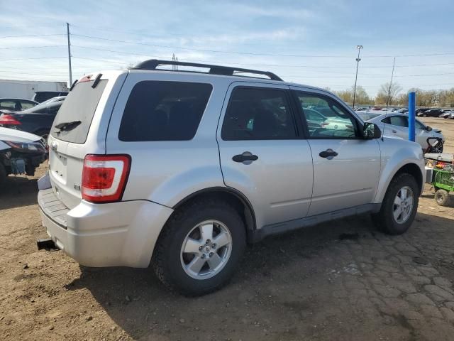 2011 Ford Escape XLT